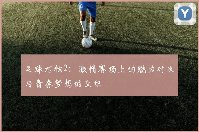 足球尤物2：激情赛场上的魅力对决与青春梦想的交织
