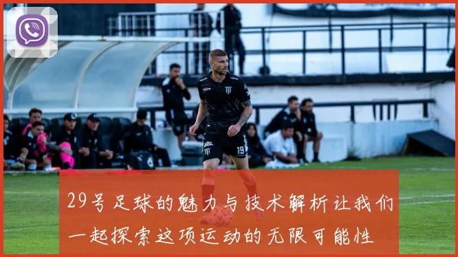 29号足球的魅力与技术解析让我们一起探索这项运动的无限可能性