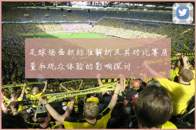 足球场面积标准解析及其对比赛质量和观众体验的影响探讨