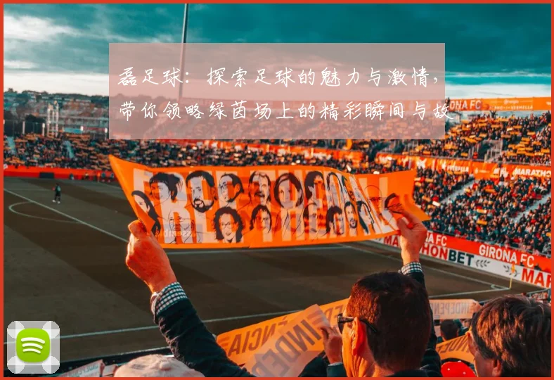 磊足球：探索足球的魅力与激情，带你领略绿茵场上的精彩瞬间与故事