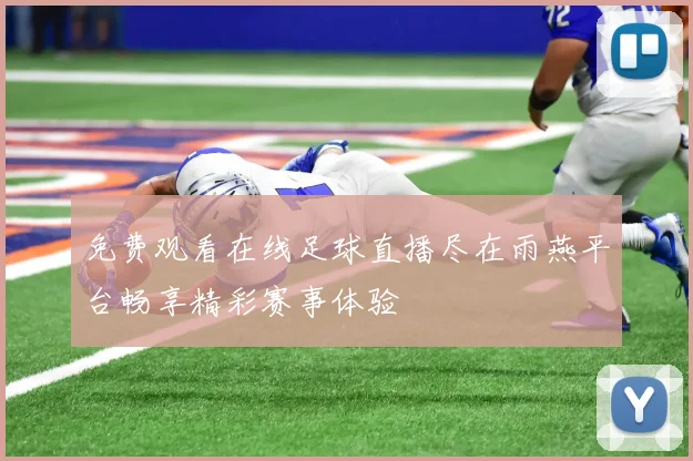 免费观看在线足球直播尽在雨燕平台畅享精彩赛事体验