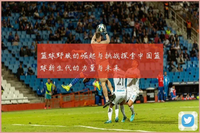 篮球野狼的崛起与挑战探索中国篮球新生代的力量与未来